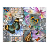 Butterfly Wings Collage (Print Only) thumbnail