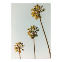 California (Print Only)