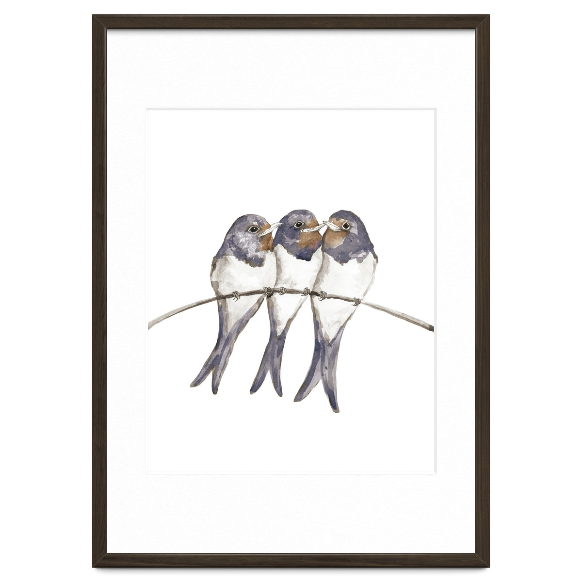 Three young swallows