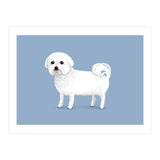 Bichon Frise (Print Only) thumbnail