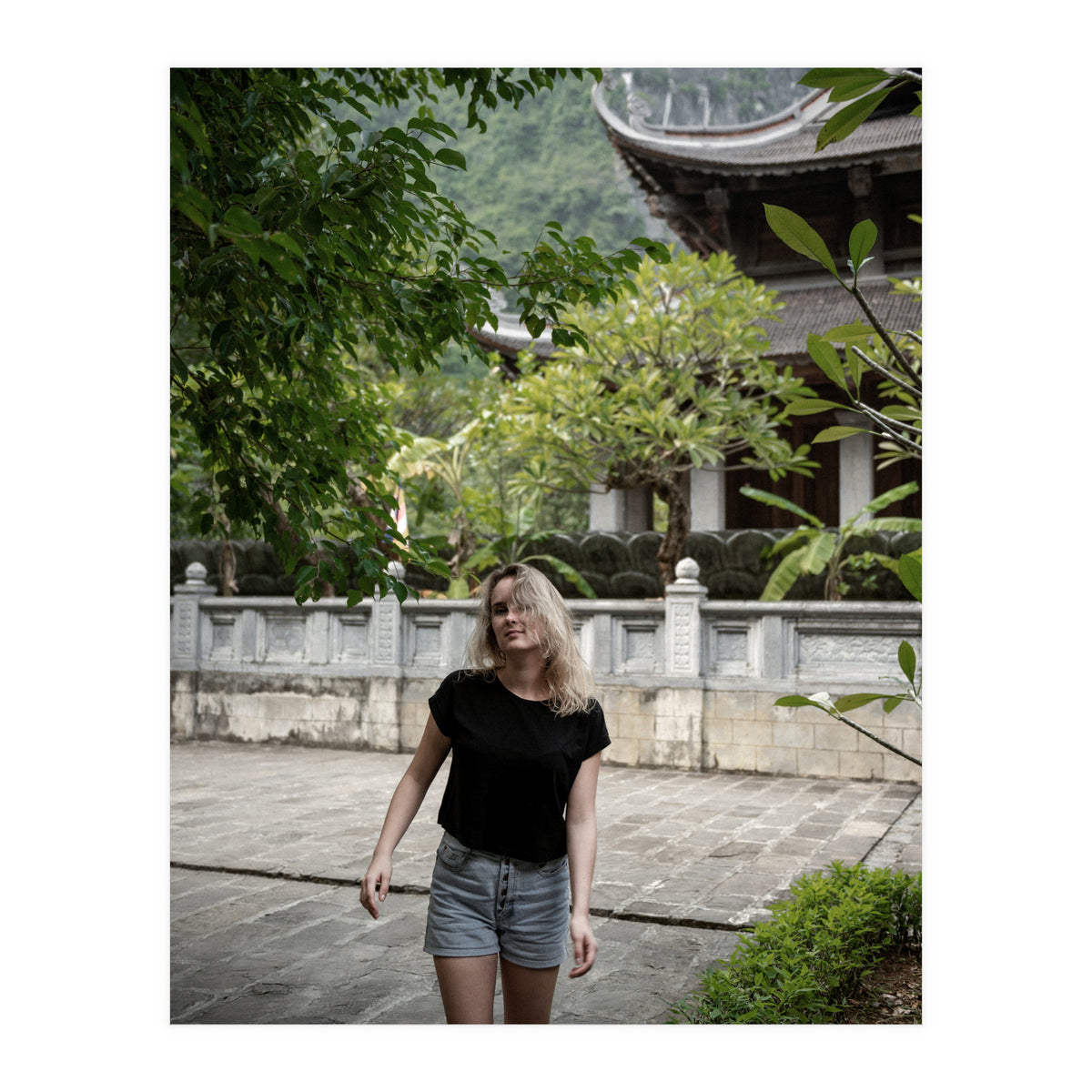 Vietnam Travel (Print Only)