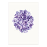 Cc Flower 01 (Print Only) thumbnail