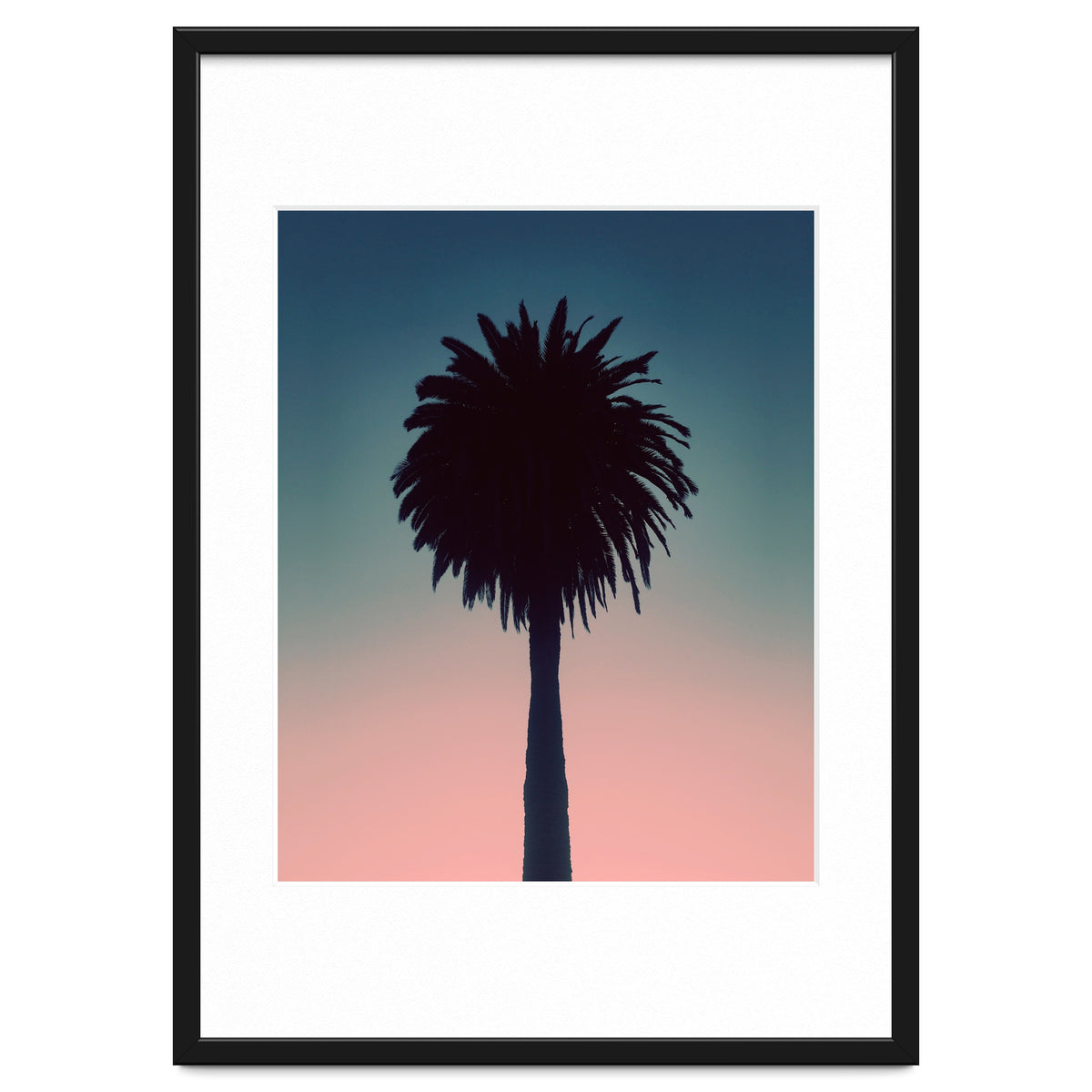 Sundown Palm