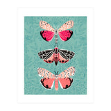Lepidoptery Study No. 6 (Print Only) thumbnail