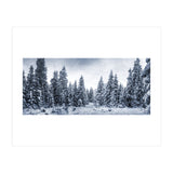 Winterland (Print Only) thumbnail