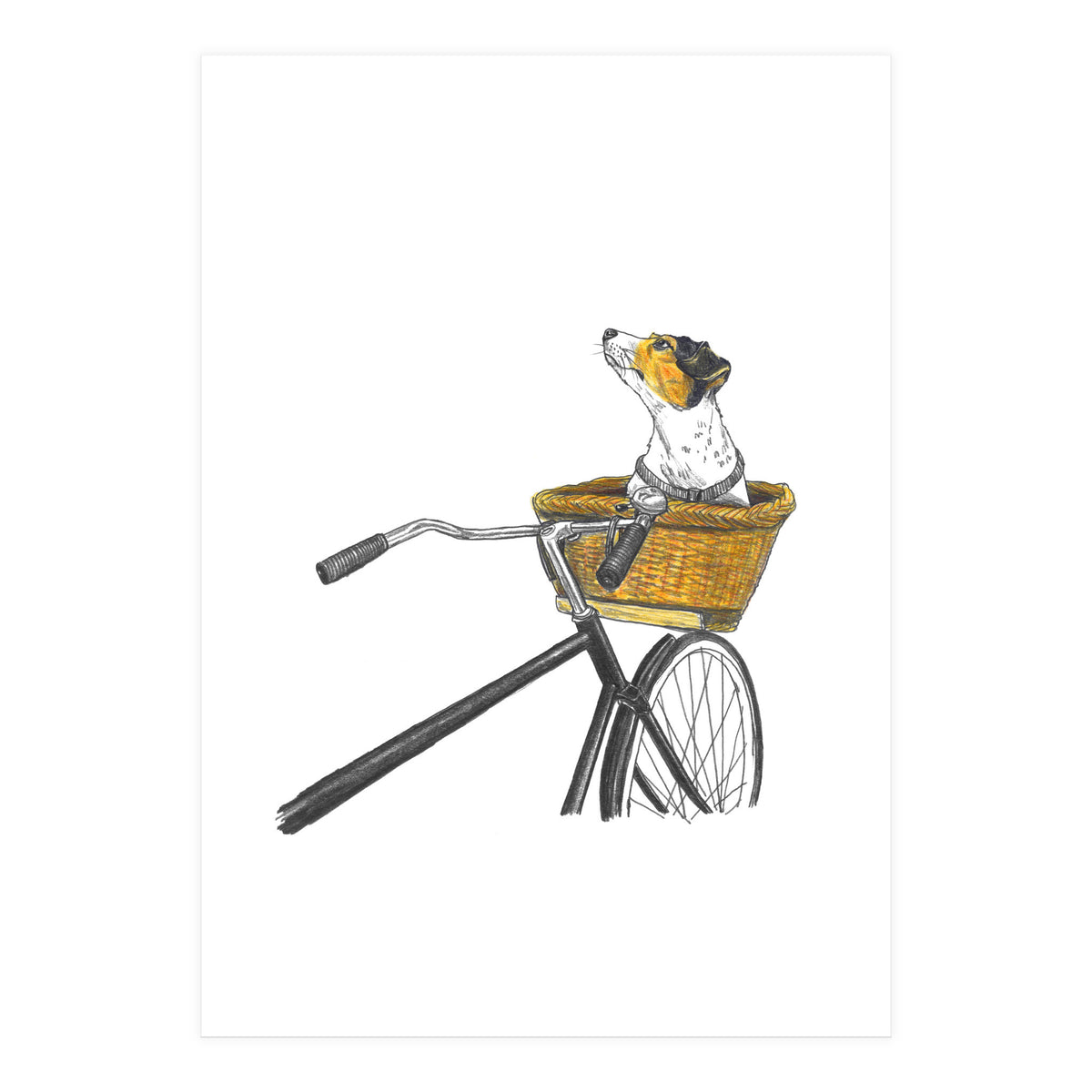 Dog In Basket (Print Only)