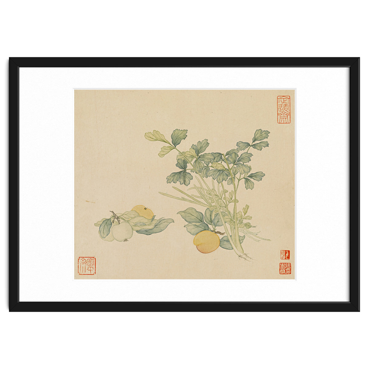 Wang Chengyu~flowers And Vegetables, Vegetables, Fruits, Plums, Apricots, Celery