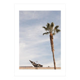 True Fit (Print Only) thumbnail