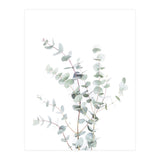 Eucalyptus Branch (Print Only) thumbnail