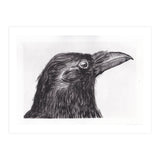 Crow (Print Only) thumbnail