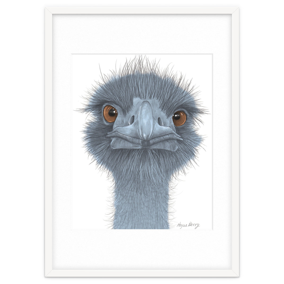 The Blue Emu