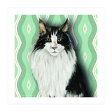 Cat 7: Django (Print Only) thumbnail