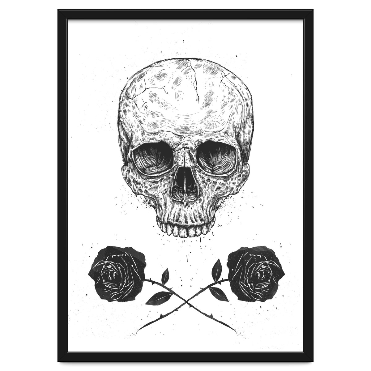 Skull N Roses