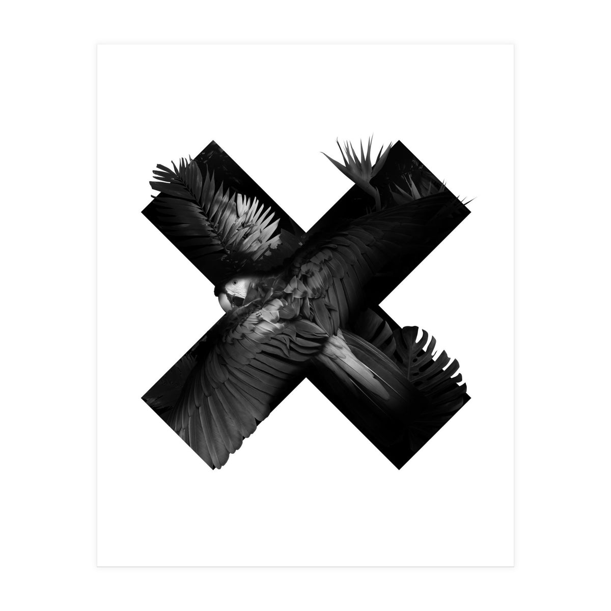 exotic nature (Print Only)