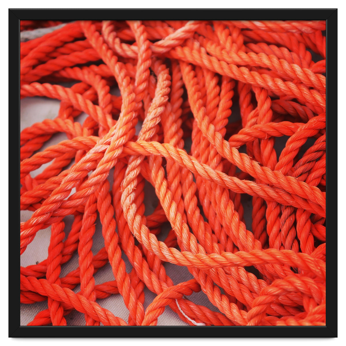 Orange ropes