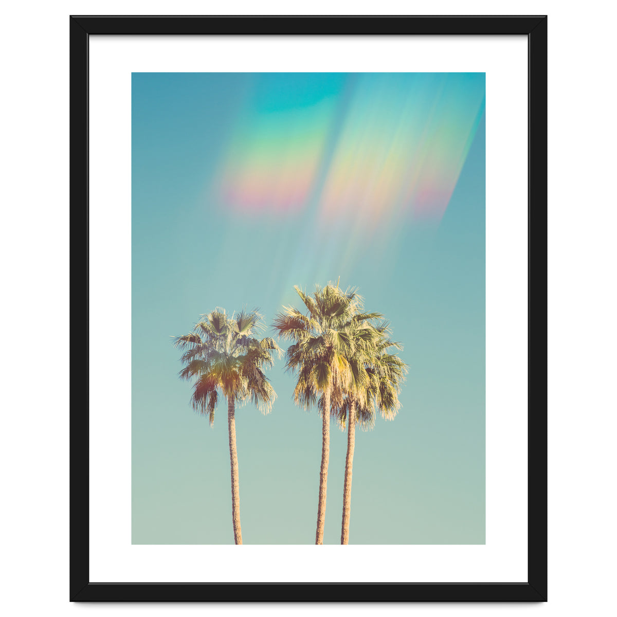 Groovy California Palm Trees