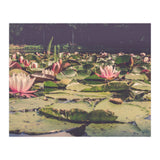 Waterlilies (Print Only) thumbnail