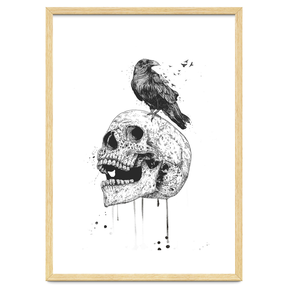 New Skull (bw)
