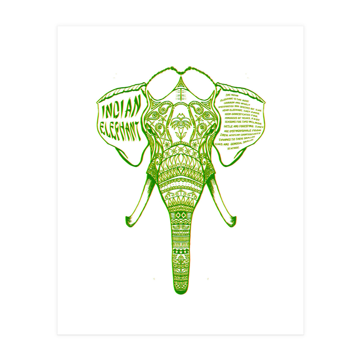 Indian Elephant (Print Only)