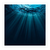 Nature (Print Only) thumbnail