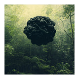 Blacks (Print Only) thumbnail