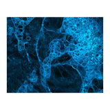 Blue (Print Only) thumbnail