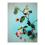 BLOOM & BEAUTY (Print Only) thumbnail