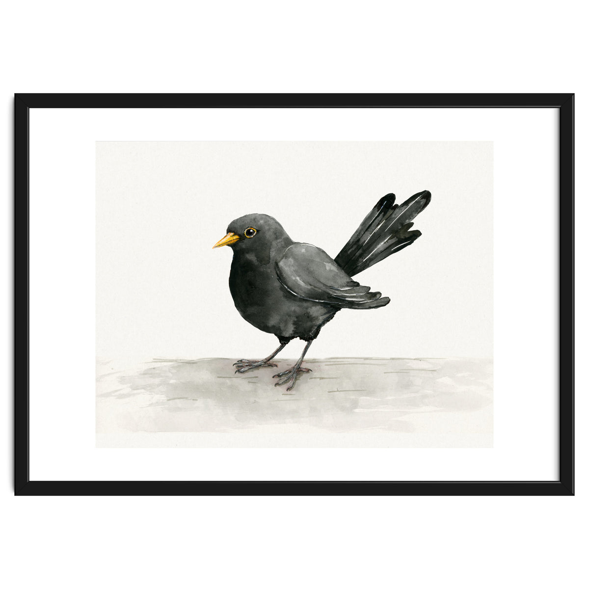 Blackbird ink drawing