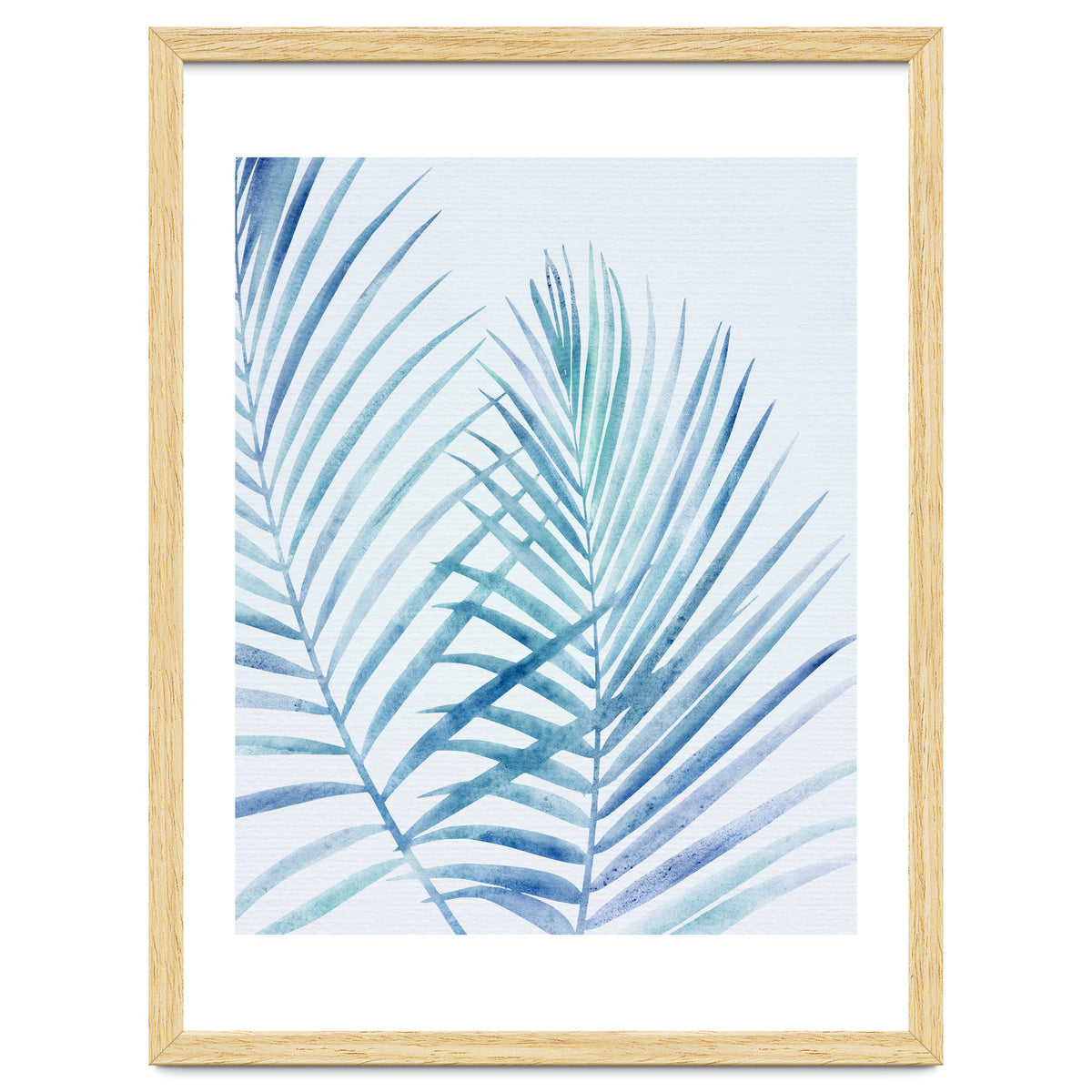 Coastal Palm Fronds