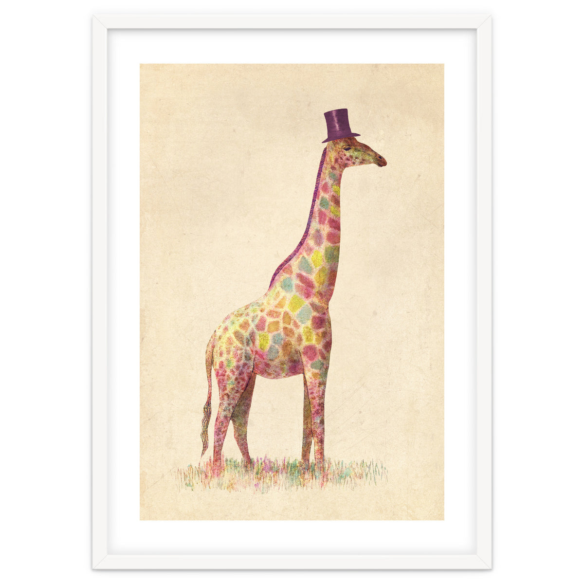 Fashionable Giraffe