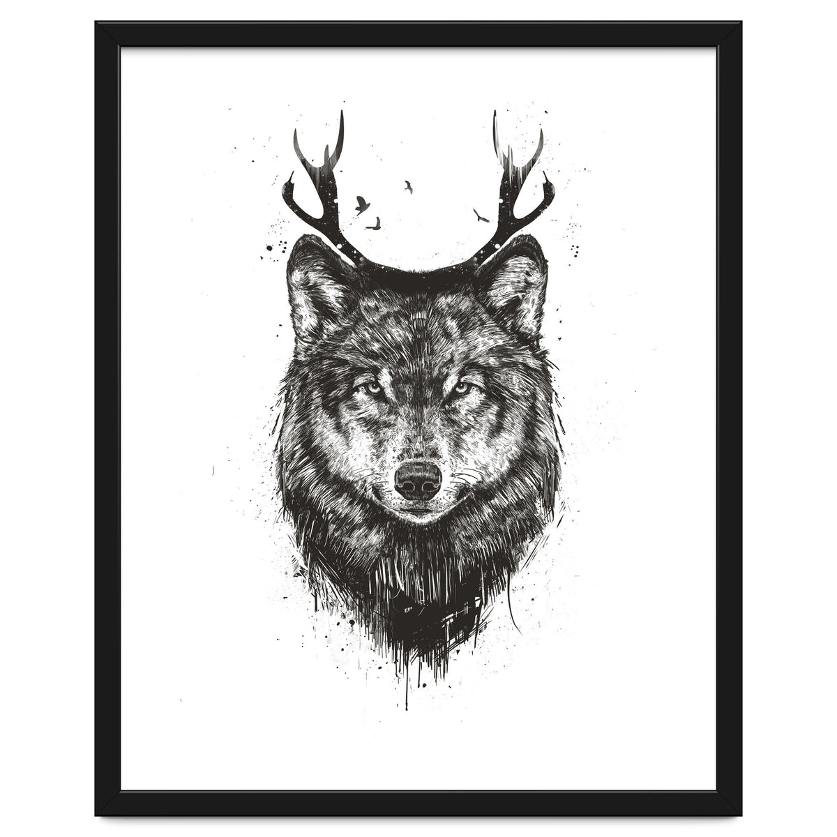 Deer Wolf Bw
