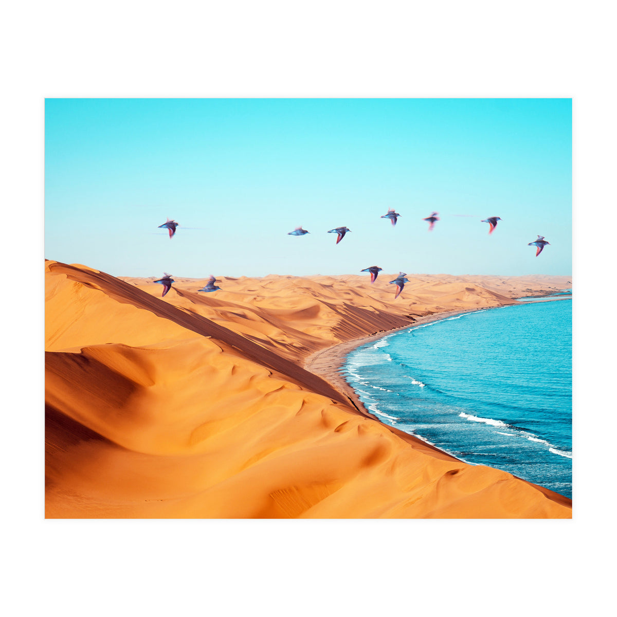 Desert Birds (Print Only)