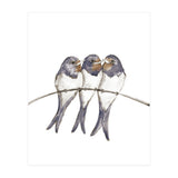 Three young swallows (Print Only) thumbnail