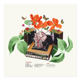 Brainwave (Print Only) thumbnail