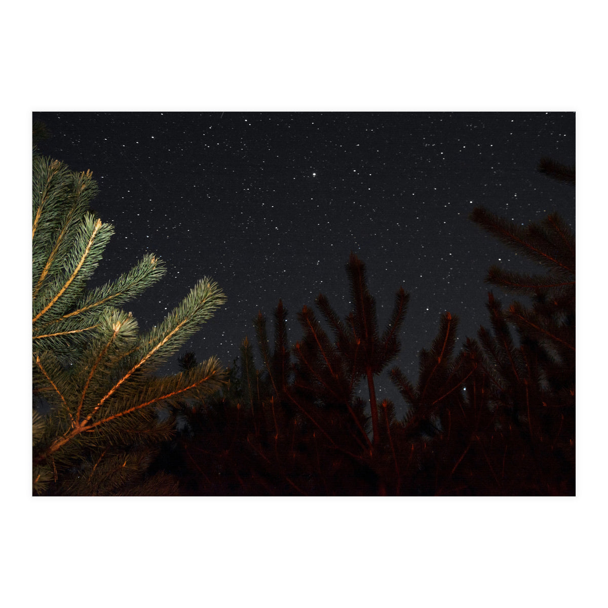 Sputnik Turntables (Print Only)