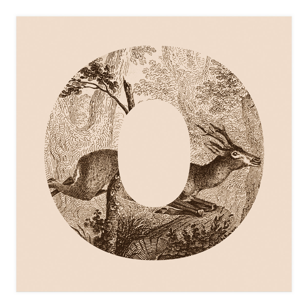 Oh Deer (Print Only)