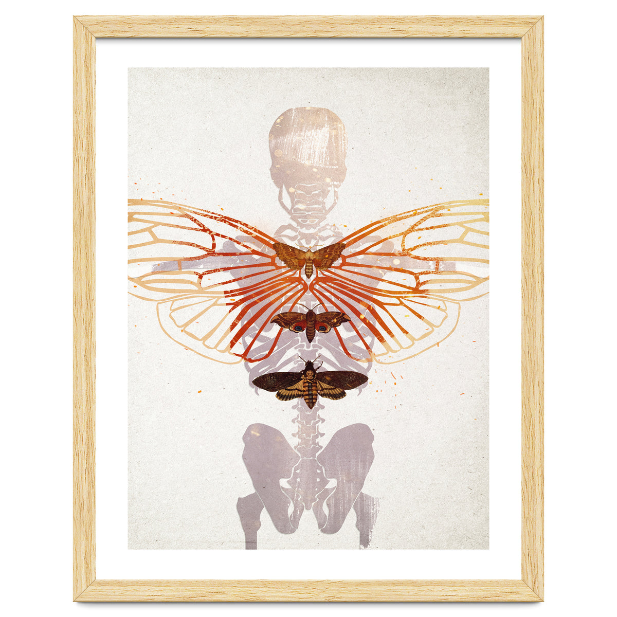 Ikarus - Like a Moth to the Flame