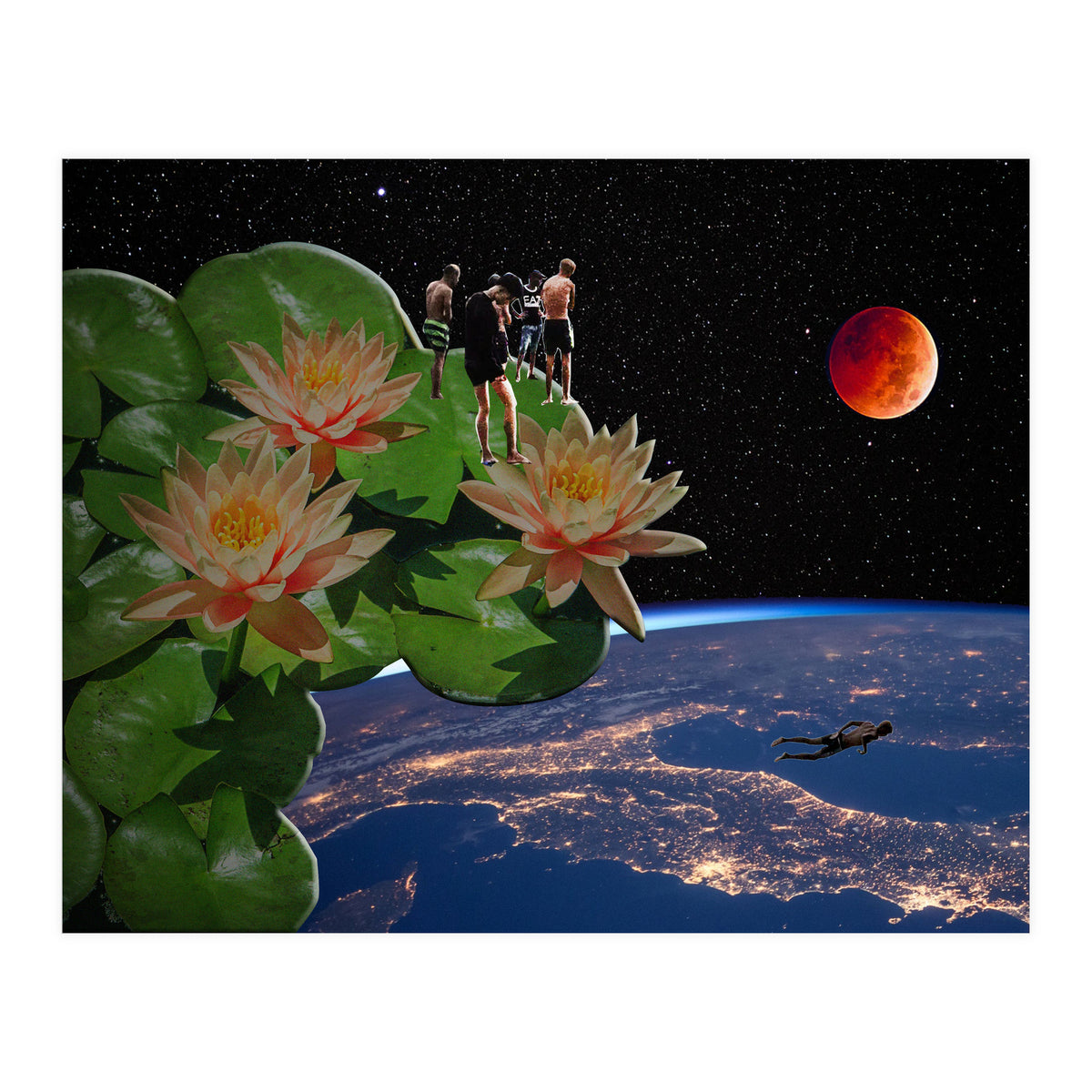 See From Lotus (Print Only)