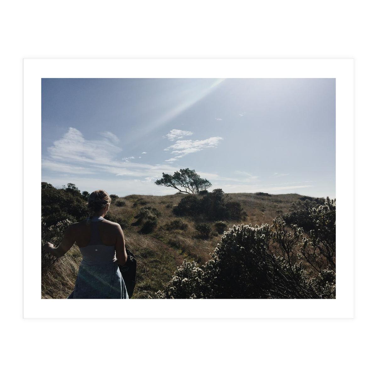 Mt. Tamalpais (Print Only)