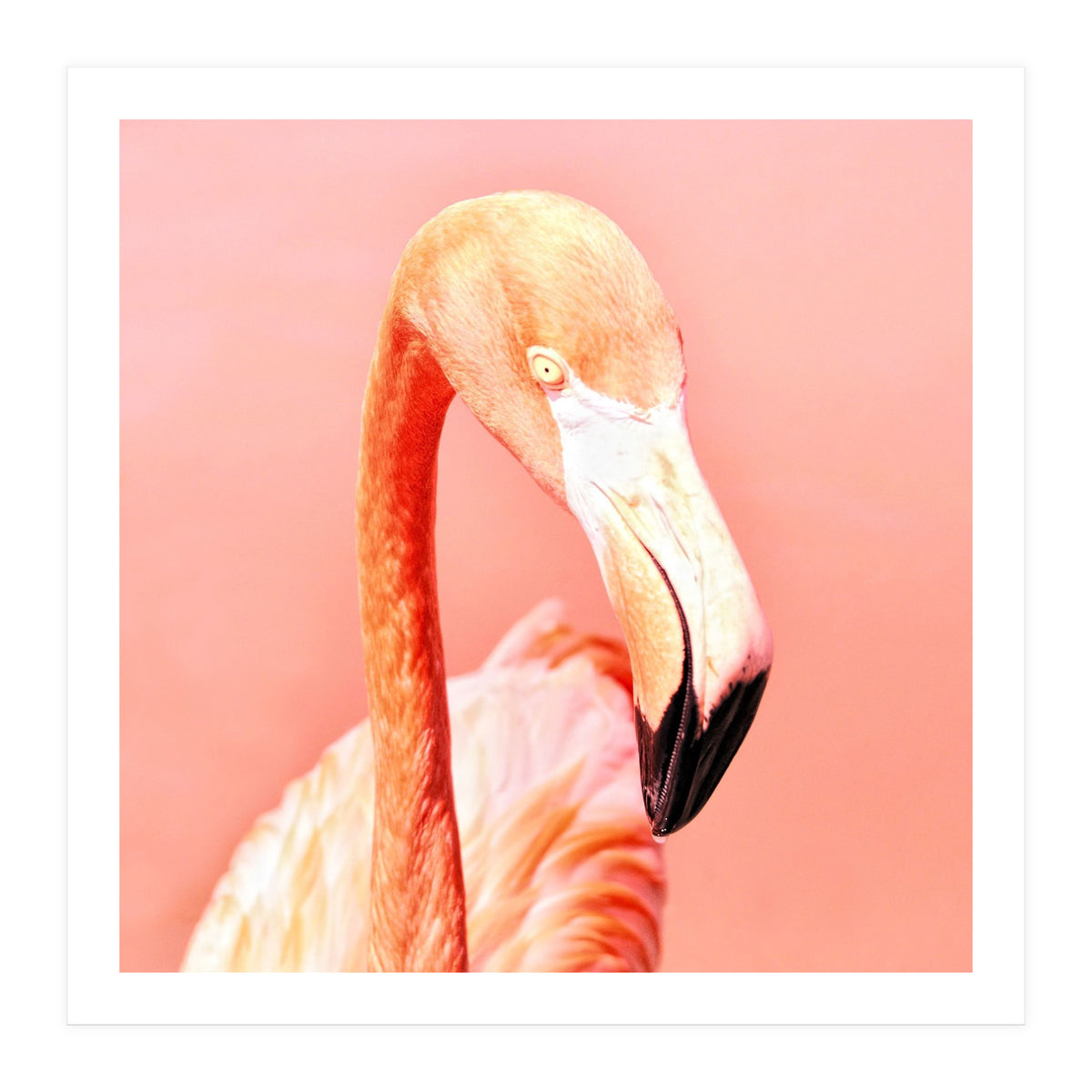 Pink Paradise (Print Only)