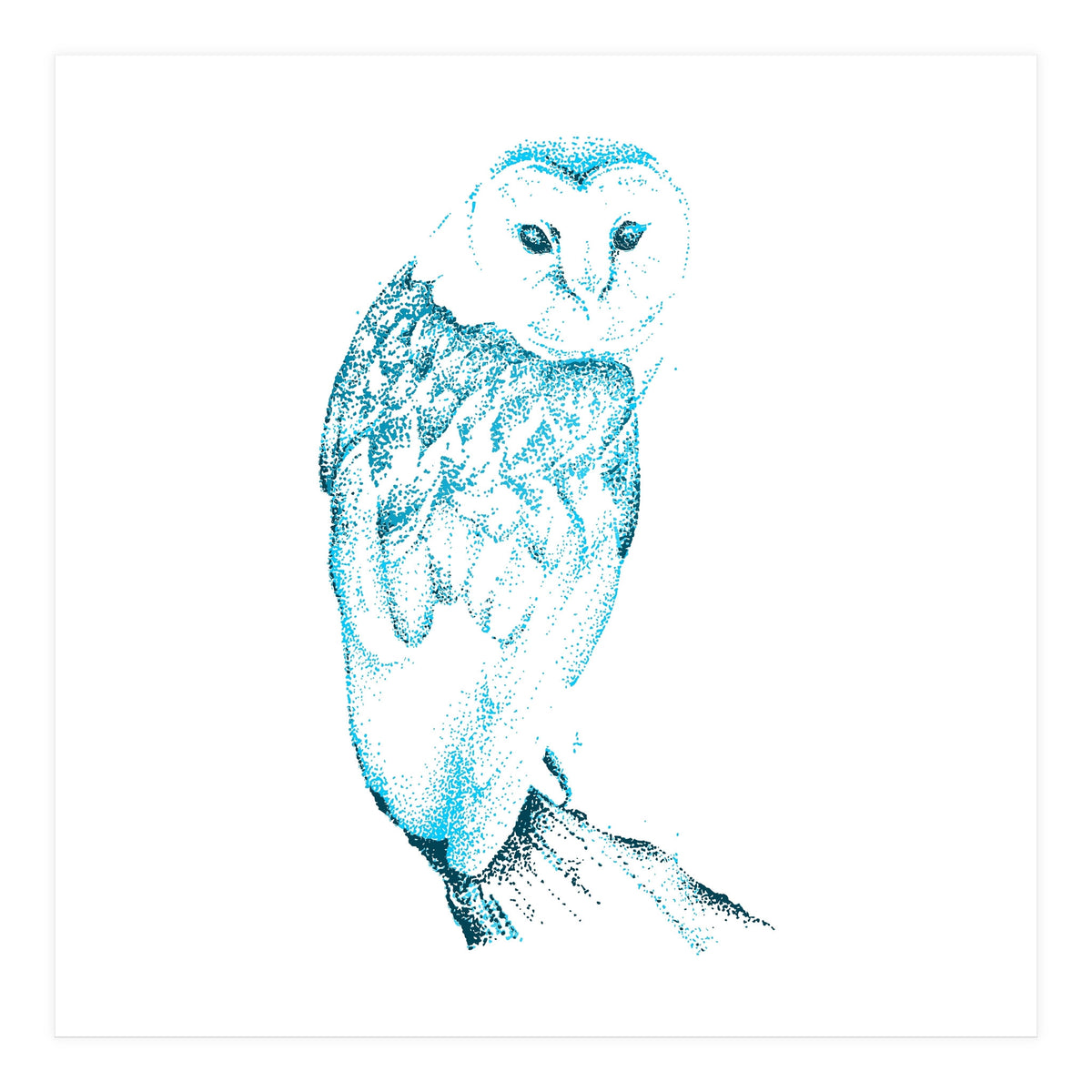 Barn Owl in Teal (Print Only)
