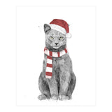 Xmas Cat (Print Only) thumbnail