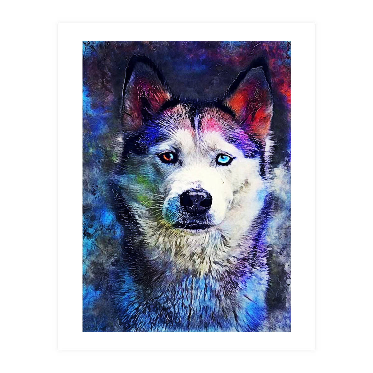 Dog Husky (Print Only)