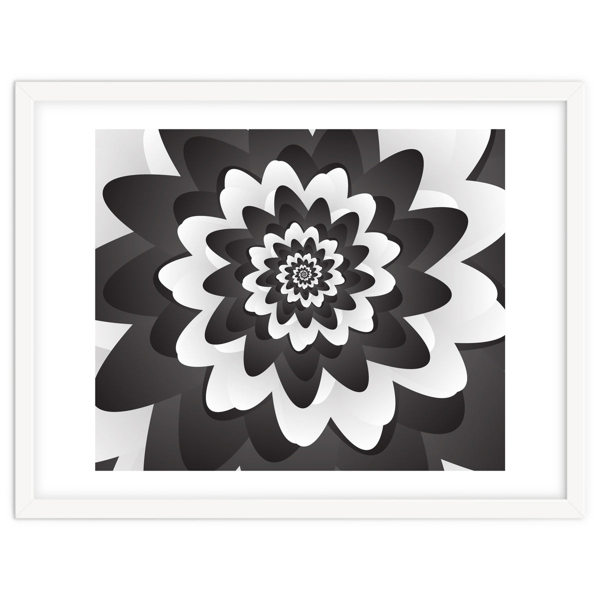 Mono Chrome Flower Spiral Pattern