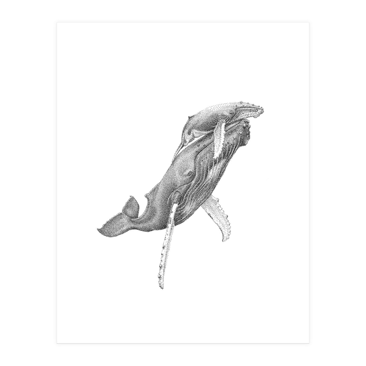 Humpacks no. 3 (Print Only)