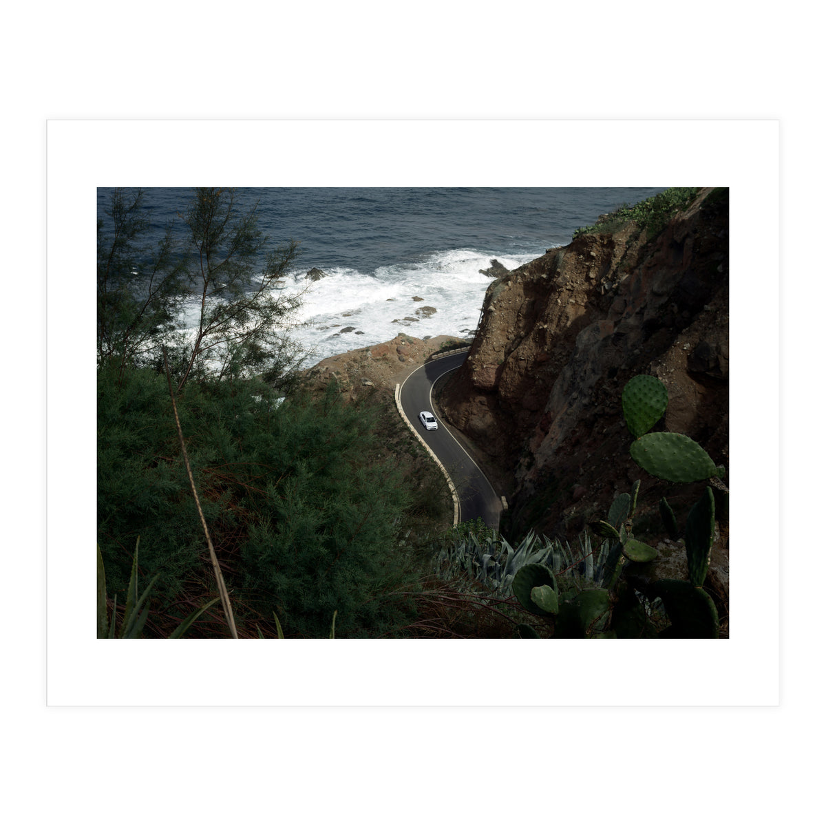 Diary of a Stalker (Print Only)