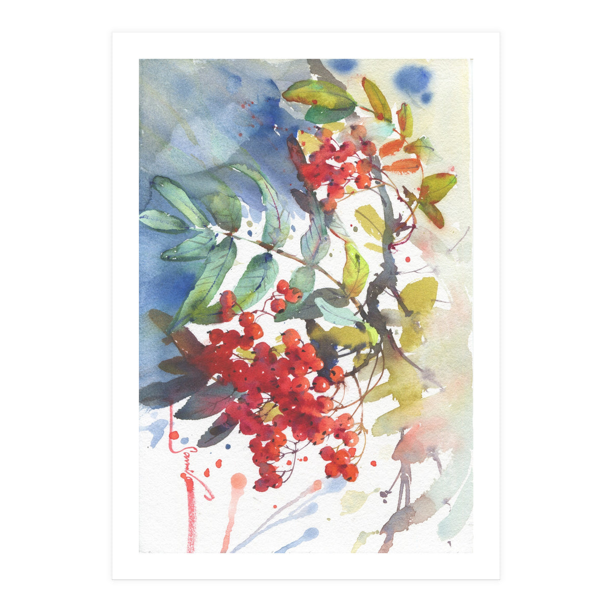 Viburnum / Guelder rose (Print Only)