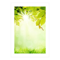 GREEN NATURE (Print Only)