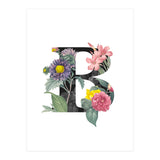 Letter B (Print Only) thumbnail
