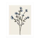 Bunch II (Print Only) thumbnail